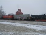 CN 113120 is new to RRPA!